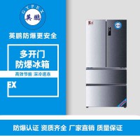 新疆對開門防爆冰箱400L