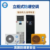岳陽(yáng)食品廠2P立柜式防爆空調(diào) BFKT-5.0